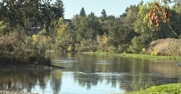 Sacramento Chapter – Paint/Sculpt-Out at William B Pond Recreation Area
