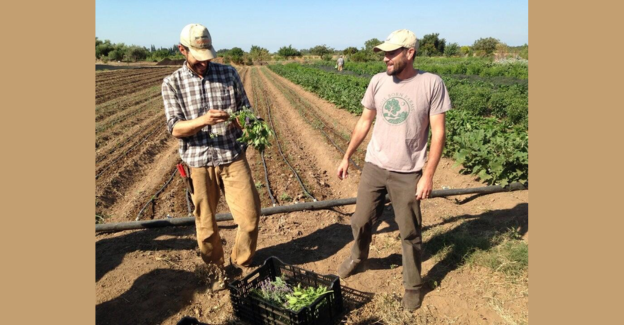 What Should I Plant? Starting Your Summer Container Garden