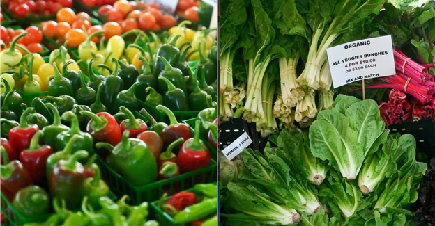 ONE Natomas Farmer’s Market
